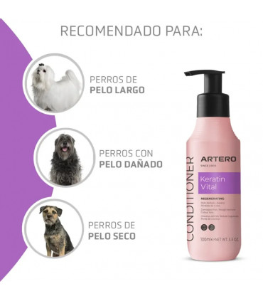 ARTERO KERATIN VITAL 100 ML